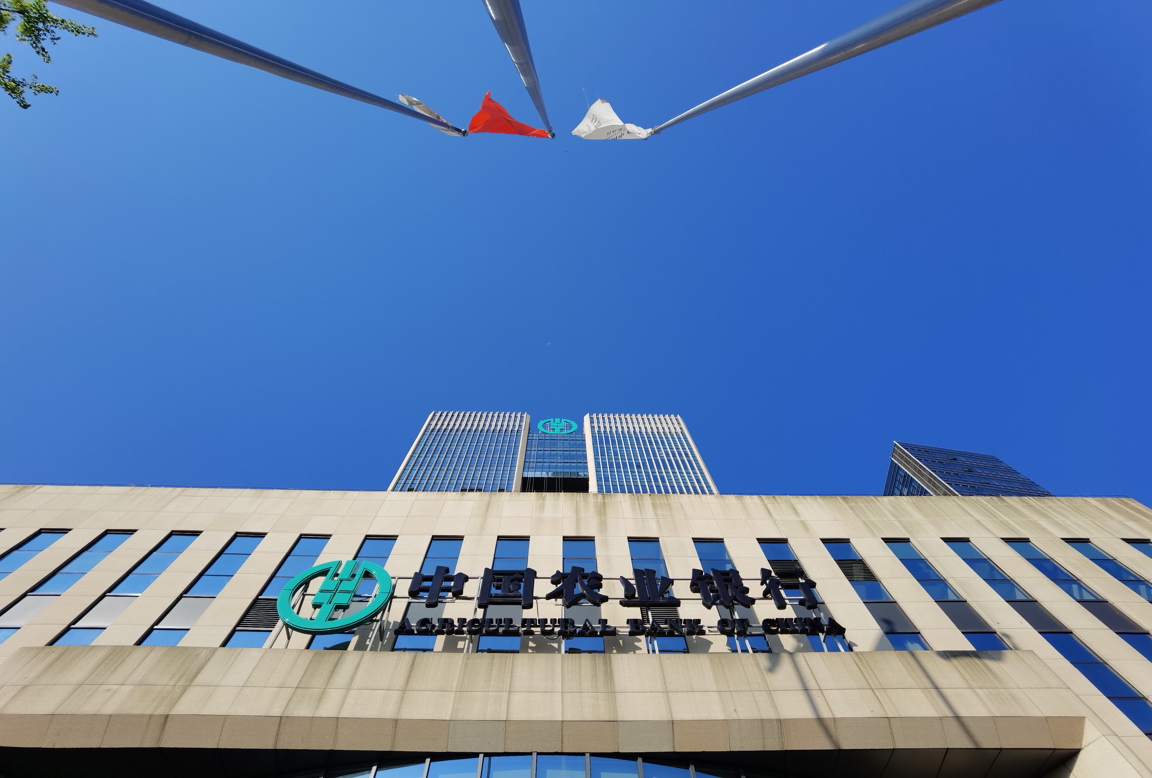 1687320760386019.jpg IMG_20220722_072916.jpg